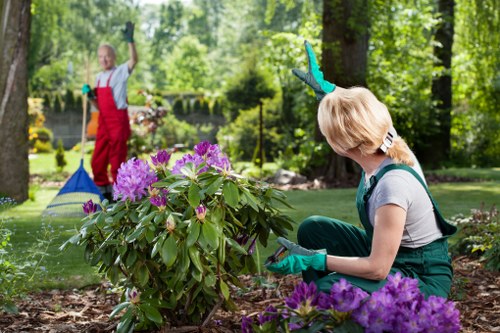 Worker using bright safety signs to mark a clear path around hedge maintenance area