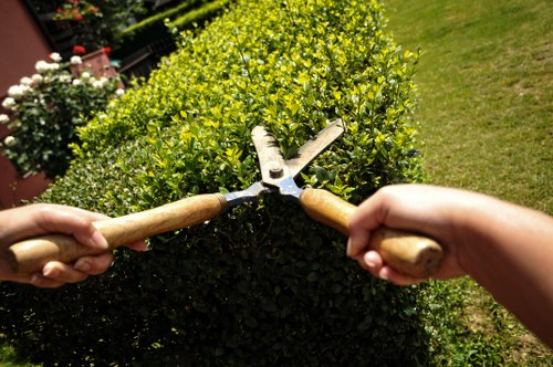 A close-up view of two hands using pruning shears with wooden handles to trim a well-maintained, dense green hedge in a landscaped garden. The hedge is positioned in the foreground and is composed of small, leafy branches with bright green foliage. Behind the hedge, there are areas of neatly cut lawn with a uniform grassy texture, and a paved pathway or patio section partially visible to the right. In the background, there are additional garden plants, including flowering shrubs with white blossoms, and a hint of decorative garden elements, suggesting a thoughtfully designed outdoor space typical of Northolt gardens. The scene appears to be outdoors on a clear day with natural daylight illuminating the garden, indicative of outdoor gardening activities relevant to services offered by Hedge Trimming Northolt, specialising in hedge maintenance and garden care in the local area.