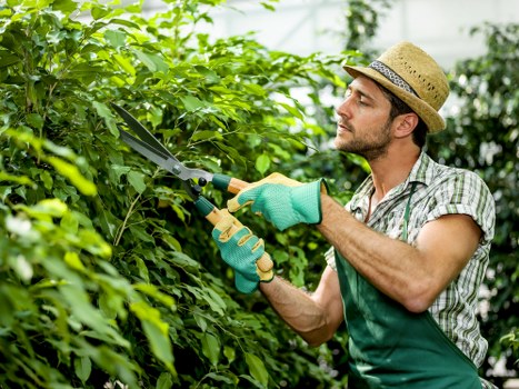 Electric van used for low-emission hedge trimming in Northolt